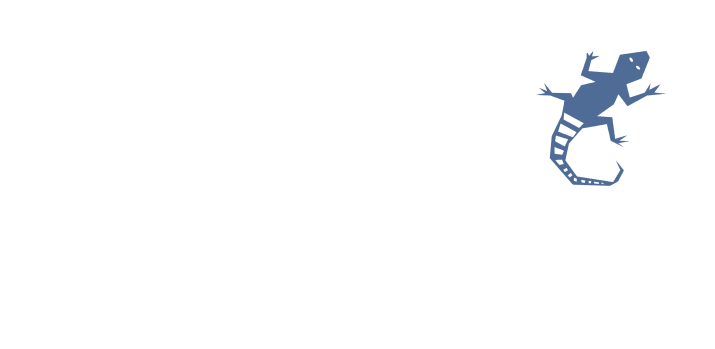 Camp Swamp Blog